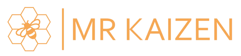 Mr Kaizen