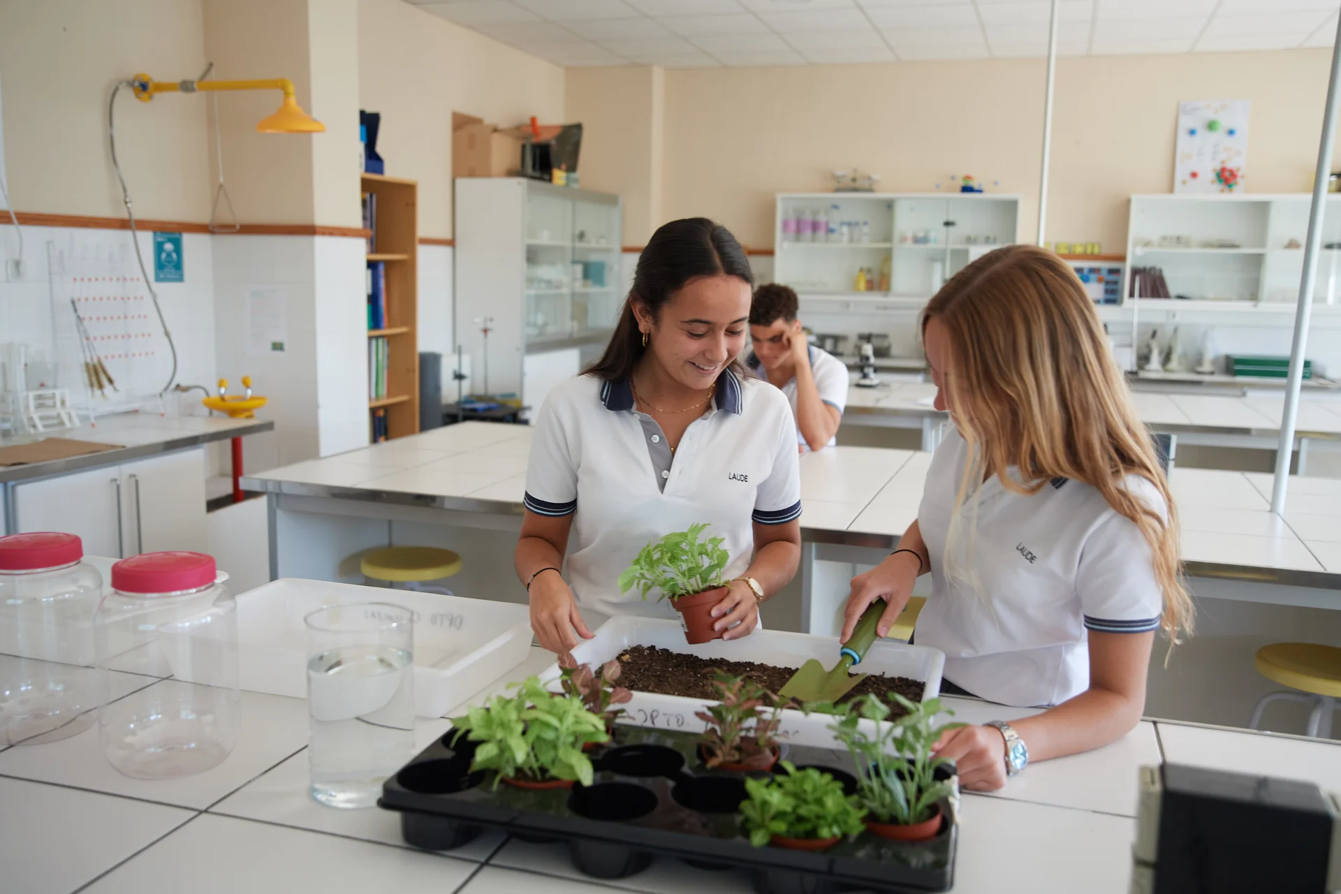 Eco School 4