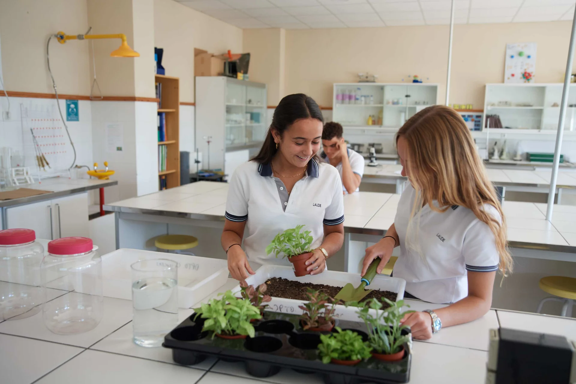Eco-School 4