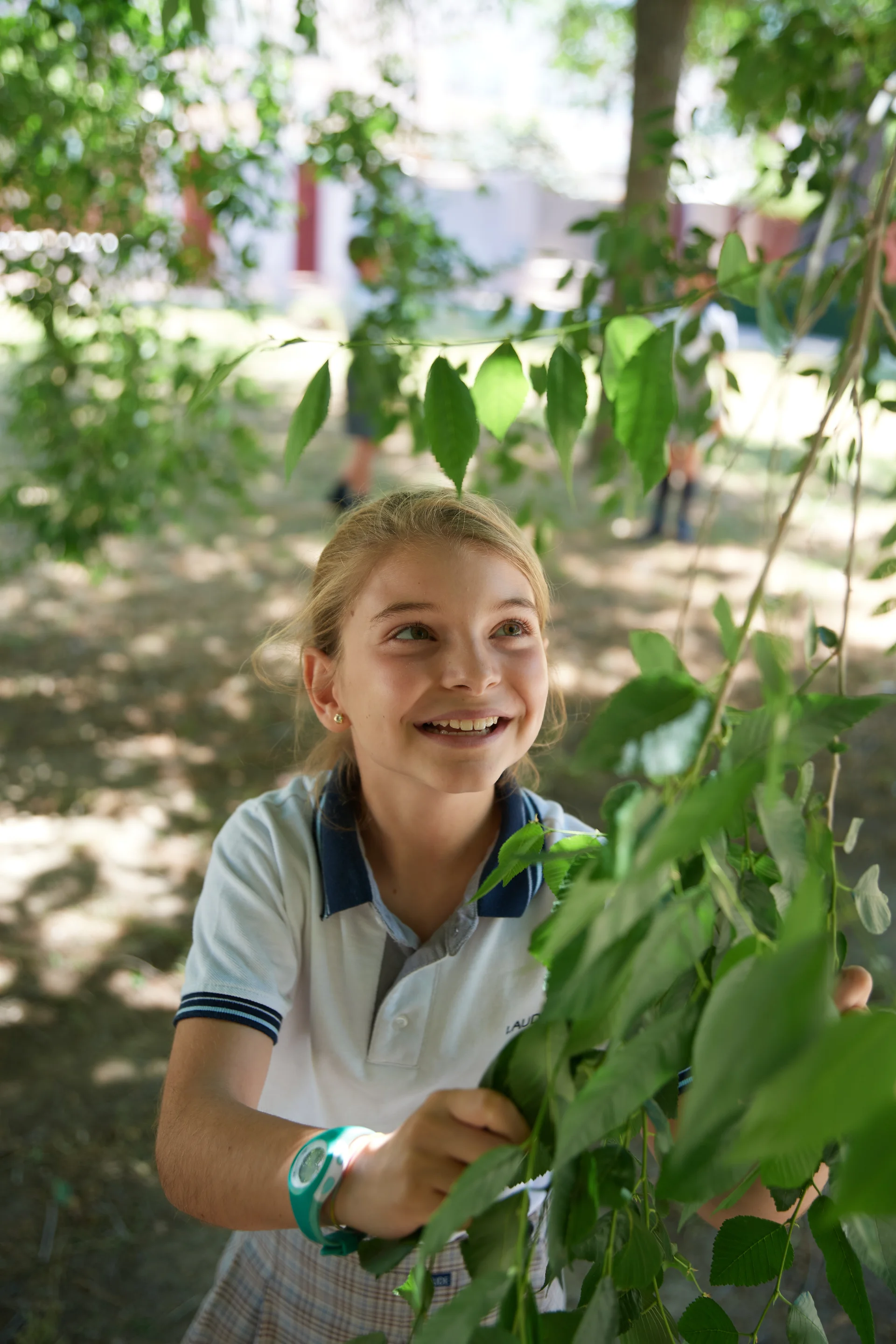 Eco school