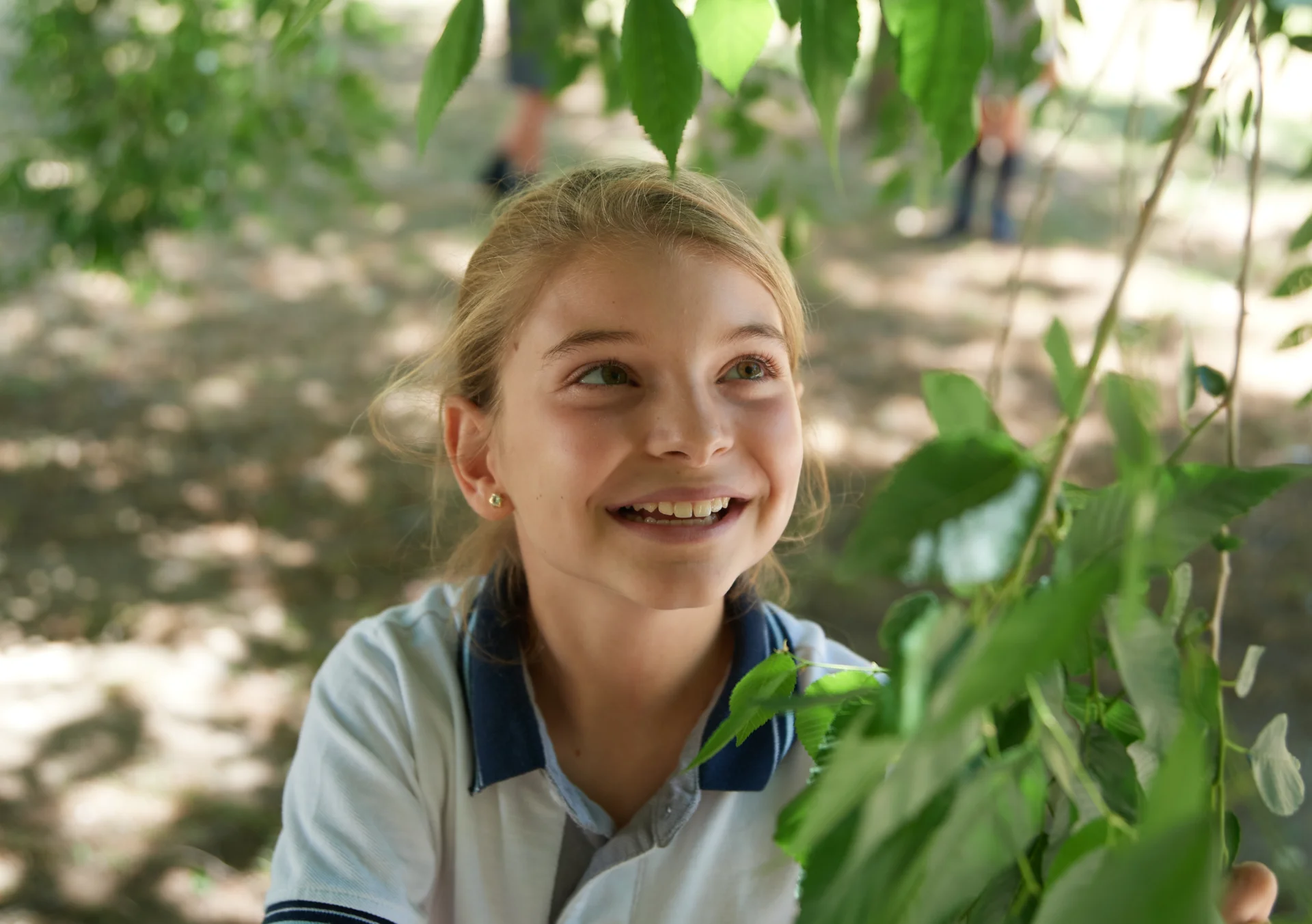 Eco School 3