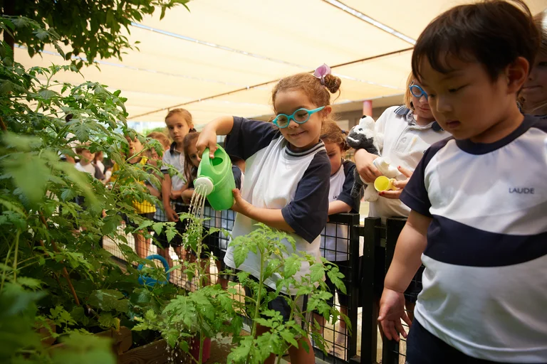 School garden